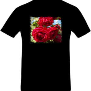 beautiful red roses t shirt black
